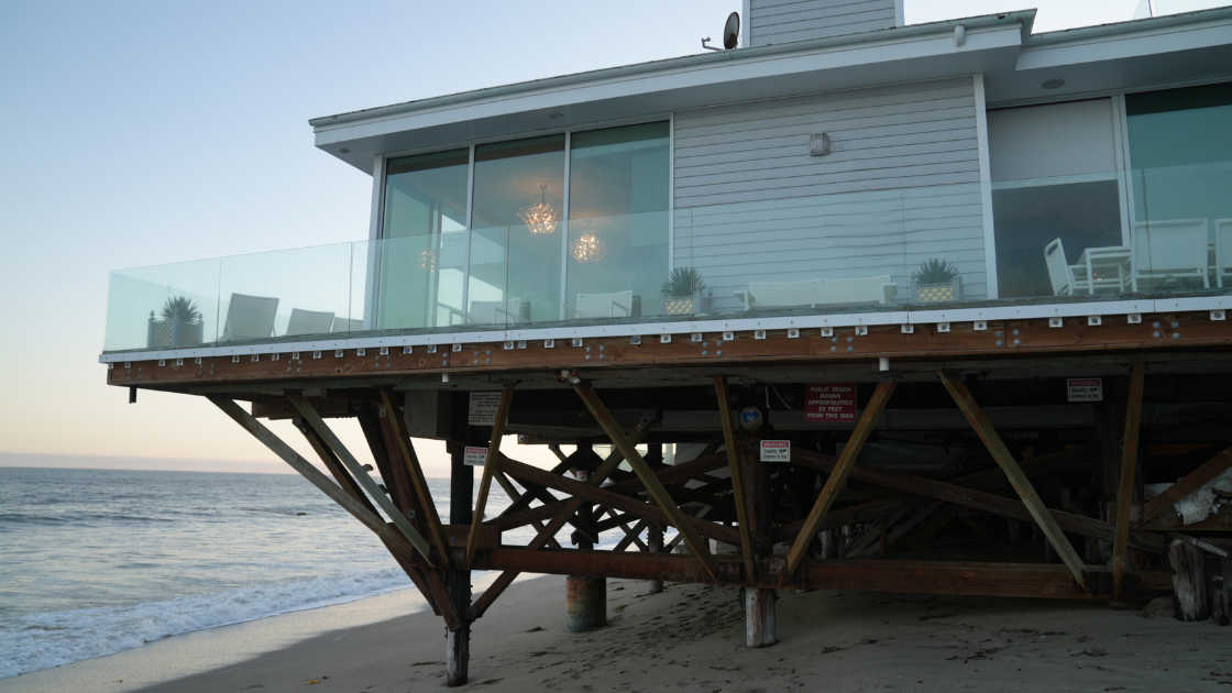 Reading in Malibu