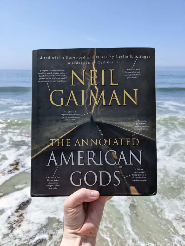 The book American Gods held up in front of the waves